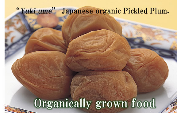 Organic Pickled Plum, Yuki-ume, Japanese pickled plum